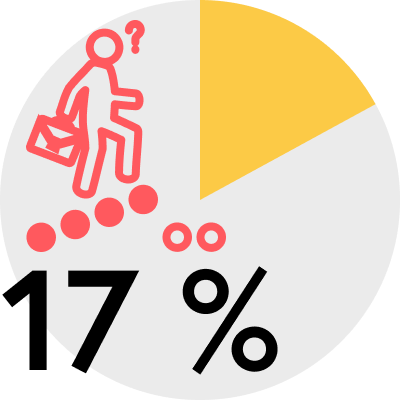 17 %