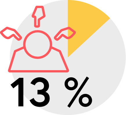 13 %